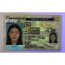 Connecticut Fake ID